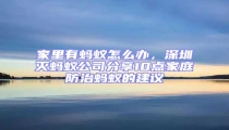 家里有螞蟻怎么辦，深圳滅螞蟻公司分享10點(diǎn)家庭防治螞蟻的建議