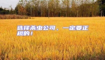 選擇殺蟲公司，一定要正規的！