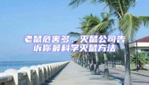 老鼠危害多，滅鼠公司告訴你最科學滅鼠方法
