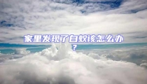 家里發現了白蟻該怎么辦？