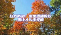 白蟻防治：家里遭遇的蟻患讓人頭皮發(fā)麻