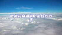 菌類(lèi)藥材如何防治白蟻危害