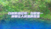 白蟻防治公司：白蟻是一種很讓人厭惡的昆蟲