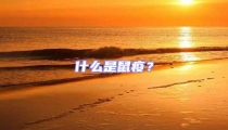 什么是鼠疫？