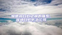 蟑螂和白蟻之間的聯系，深圳白蟻防治公司