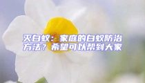 滅白蟻：家庭的白蟻防治方法？希望可以幫到大家