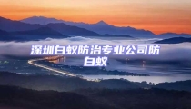 深圳白蟻防治專業公司防白蟻