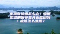 家里有蟑螂怎么辦？蟑螂爬過的碗等餐具還能用嗎？應(yīng)該怎么處理？