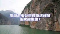 深圳殺蟲公司教你這樣防治家庭害蟲？