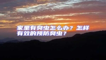 家里有臭蟲怎么辦？怎樣有效的預防臭蟲？
