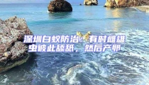 深圳白蟻防治：有時雌雄蟲彼此舔舐，然后產卵