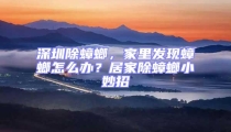 深圳除蟑螂，家里發(fā)現(xiàn)蟑螂怎么辦？居家除蟑螂小妙招