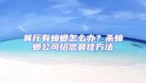 餐廳有蟑螂怎么辦？殺蟑螂公司給您最佳方法