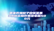 抓來蒼蠅蚊子放飯菜里 3小伙欲敲詐餐館老板500元