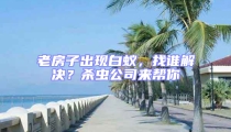 老房子出現白蟻，找誰解決？殺蟲公司來幫你