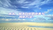 木頭、林木白蟻的危害與預防方法？