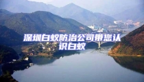 深圳白蟻防治公司帶您認(rèn)識(shí)白蟻