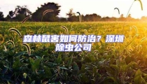 森林鼠害如何防治？深圳除蟲(chóng)公司