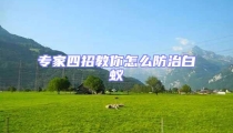 專家四招教你怎么防治白蟻