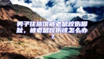 男子住旅館被老鼠咬傷腳趾，被老鼠咬傷該怎么辦？