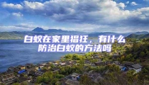 白蟻在家里猖狂，有什么防治白蟻的方法嗎