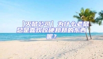 【滅鼠公司】為什么老鼠總是喜歡咬硬邦邦的東西呢？