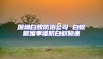 深圳白蟻防治公司 白蟻繁殖季謹防白蟻隱患