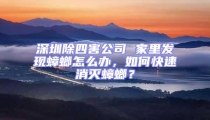 深圳除四害公司 家里發現蟑螂怎么辦，如何快速消滅蟑螂？