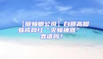 【除蟑螂公司】白額高腳蛛成網紅“滅蟑神器”，靠譜嗎？