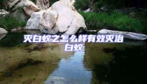 滅白蟻之怎么樣有效滅治白蟻
