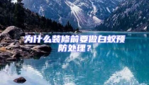 為什么裝修前要做白蟻預防處理？