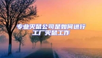 專業(yè)滅鼠公司是如何進(jìn)行工廠滅鼠工作